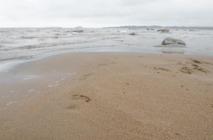 Fotspår på stranden. Lulnäsudden, Luleå.