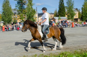 Bodens Hästfest 2014. Islandshästens gångarter.