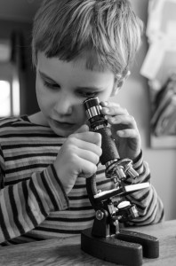 Simon undersöker en död fluga i mikroskopet.